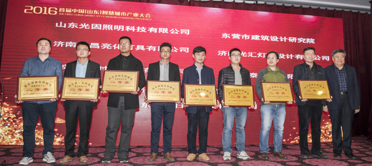 我公司創(chuàng)意的燈光雕塑作品榮獲首屆山東省綠色照明獎(圖3)