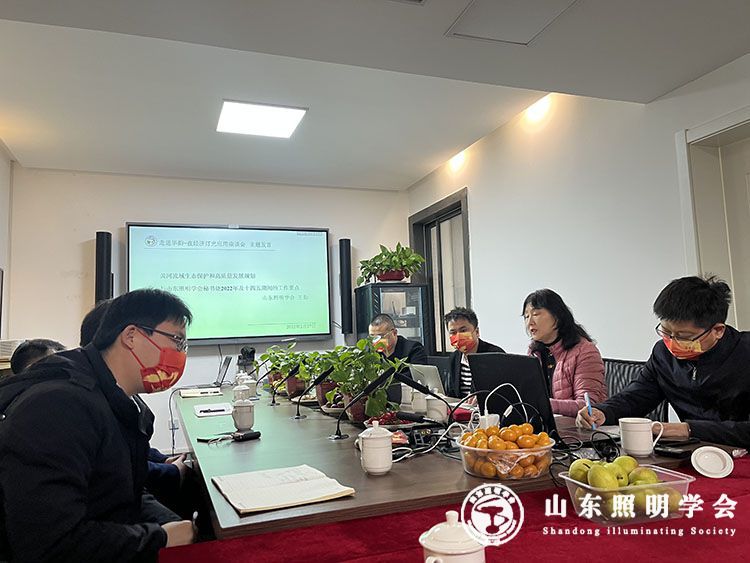 夜經(jīng)濟燈光應(yīng)用座談會順利舉行(圖3)