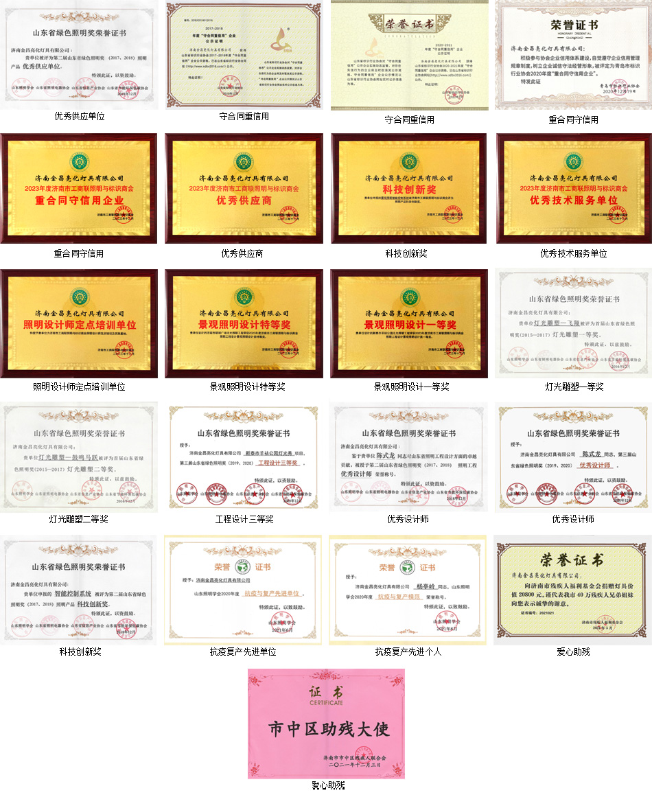 企業(yè)榮譽(圖2)